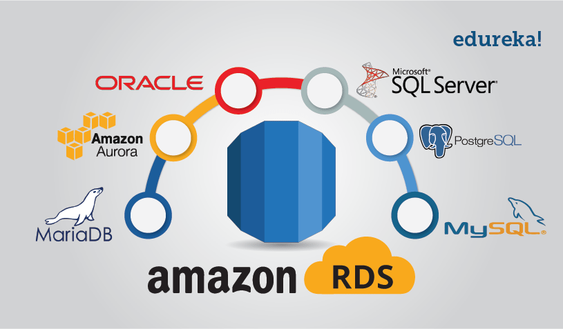 MariaDBとは？開発の経緯と特徴、MySQLとの違いやAmazon RDSについても解説