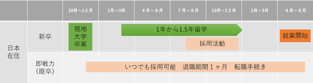 採用から就業までながれ（日本在住）
